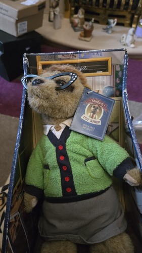 Maiya meerkat compare the - maiya,