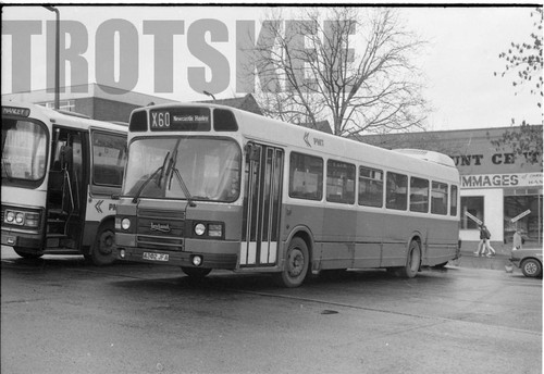 35mm black and white negative - white,
