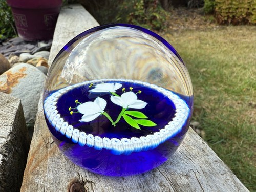 Caithness paperweight - caithness,