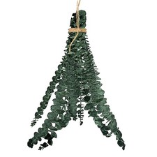 10 Pcs Eucalyptus for Shower