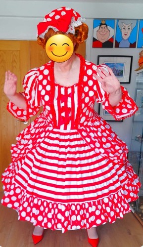 Pantomime dame costume - pantomime,