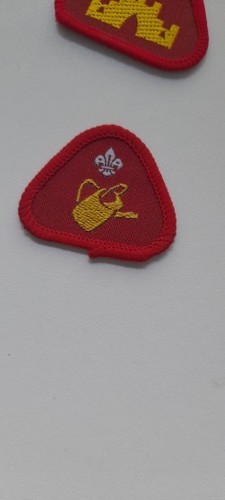 Vintage cub badge - vintage,