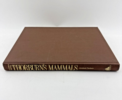 Thorburn mammals archibald - thorburn's,