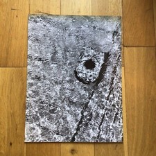 Vintage 1960s Amateur Photo - Inner Eye - Zenith Camera Club