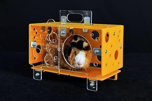 Guinea pig cheese house - house,,