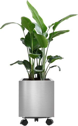 Longrun 25cm stainless - longrun,