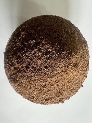 African kigelia djanta - african,