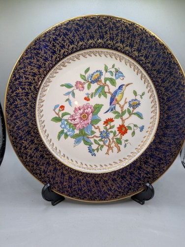 Aynsley pembroke cobalt blue - pembroke, &