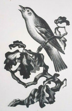 MILLER PARKER NIGHTINGALE BIRD 1936 Print of a Woodcut By Agnes