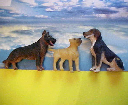 Different dog fridge - 3,