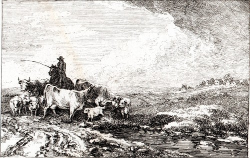 Cattle grazing 1796 - grazing,