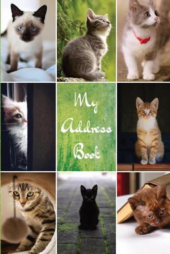 Address book cats - my,