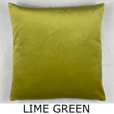 Premium Plush Velvet Cushion