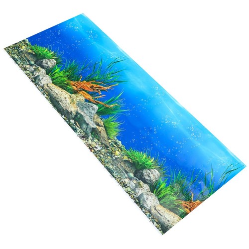 Aquarium picture background - aquarium,