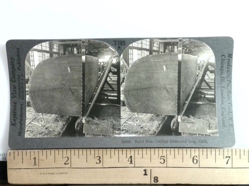 Band saw cutting redwood log - band,
