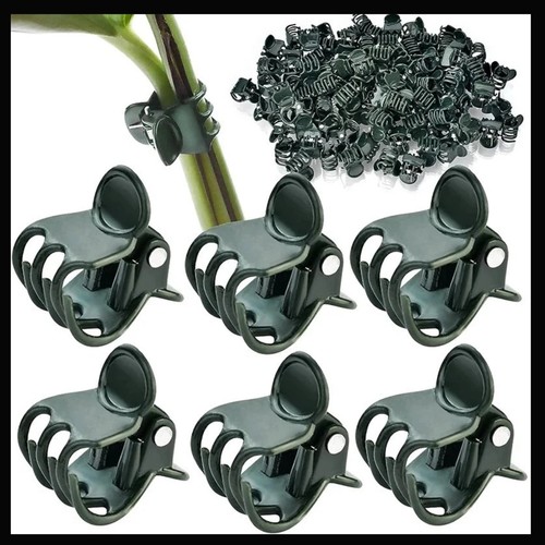 Plastic plant support clips - support,