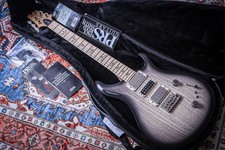 PRS USA Paul Reed Smith Swamp