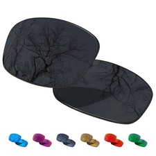 Polarized Replacement Lenses