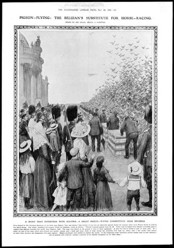 1910 antique print - -, belgium