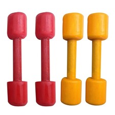  2 Pairs Gym Dumbbell Weights