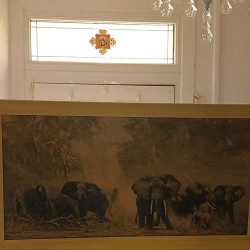 David shepherd elephants - shepherd,