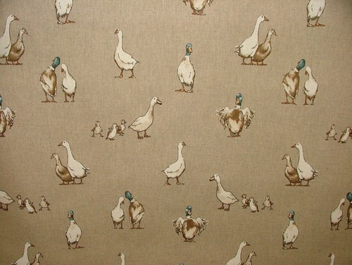 Mini prints ducks animals - mini,