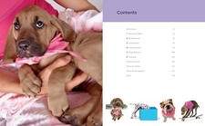 Super Simple Puppy Tricks and