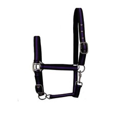 GS Equestrian & Country Horse