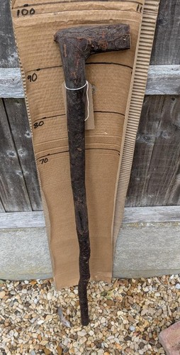 Blackthorn walking stick shank - blackthorn,