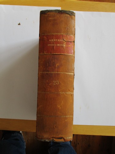 General stud book no23 - stud, 1917