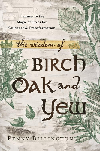 The wisdom birch - wisdom, oak,