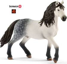 Grey Andalusian Stallion Horse