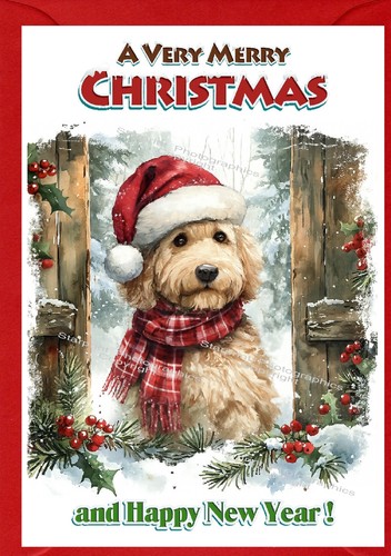 Labradoodle doodle dog a6 - labradoodle,