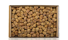 Madina Sukkary Maftoul Dates |
