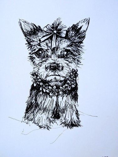 Yorkshire terrier puppy pen - yorkshire,