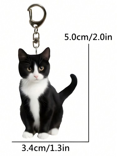 Black and white tuxedo cat - and,