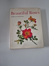 Czech Rose Botanical Illustration Jirina Kaplicka 1965  Beautiful Roses