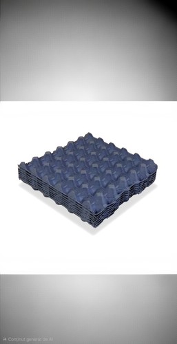 Blue egg cardboard - 30,