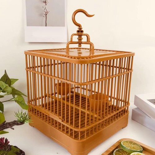 Bird cage hanging - bird,