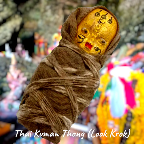 Thai kuman thong - kuman, (look
