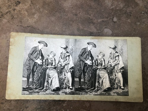 Victorian stereoview the - stereoview,