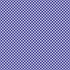 GORGEOUS  "GINGHAM" CANVAS