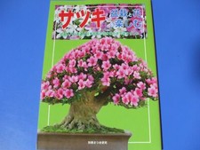 Satsuki Enjoy bonsai and