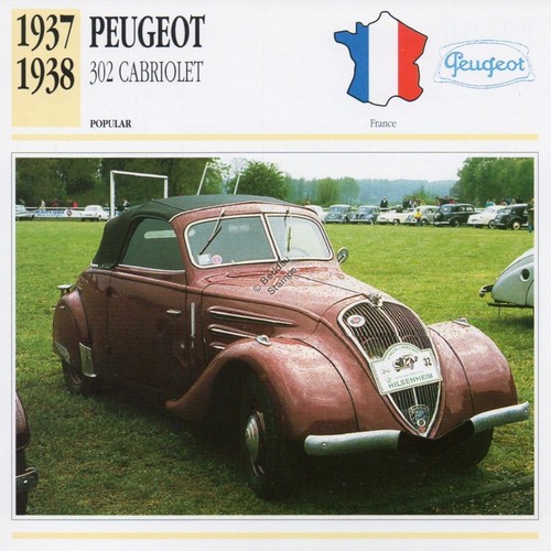1937 1938 peugeot 302 - 1937-1938,