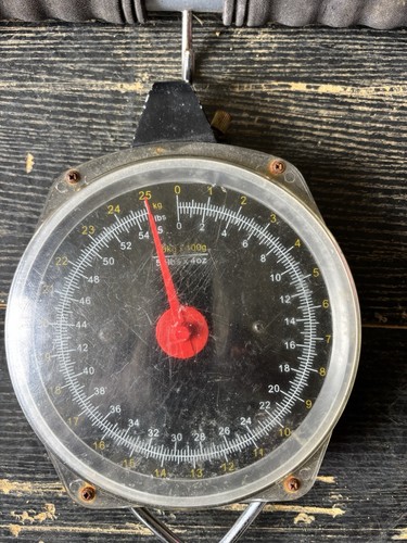 Fishing scales - fishing, (well