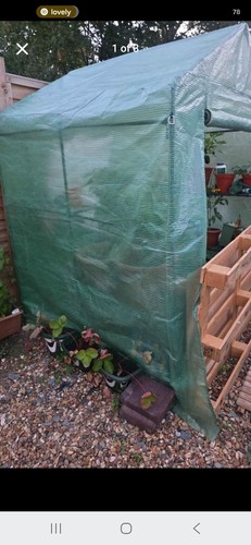 Large walk greenhouse - large, walk-in