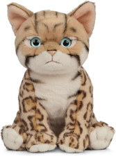 Bengal Kitten, Realistic Soft