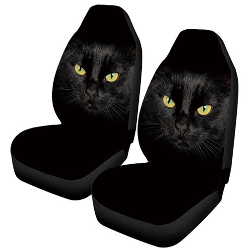 Accessory front car - accessory,
