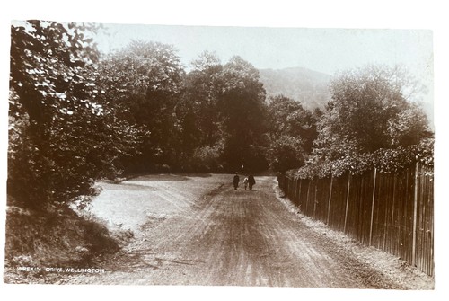 Old postcard countryside vtg - countryside,