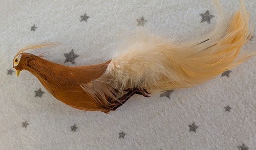 Vintage feather pheasant - vintage,